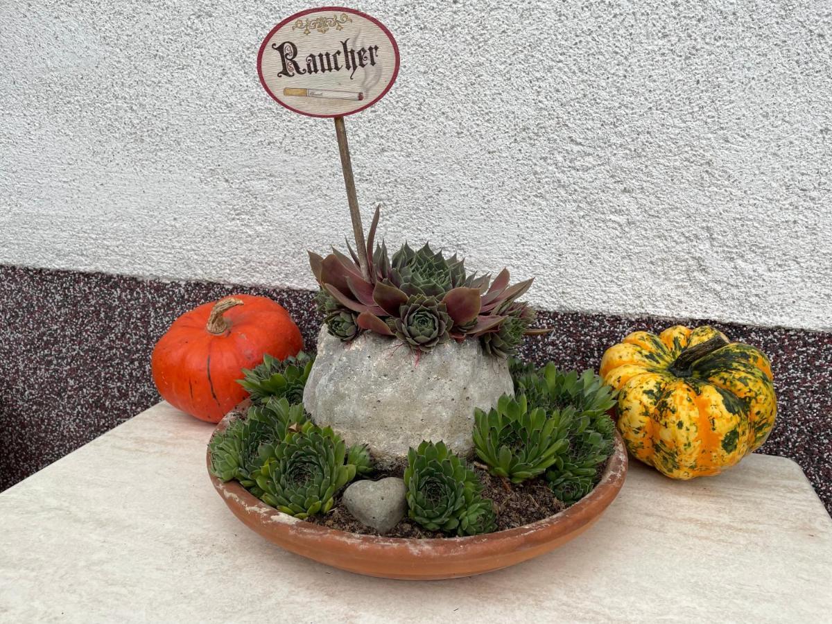 Ferienwohnung Sonnschein Bad Mitterndorf Exteriör bild